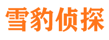 陕西市私家侦探